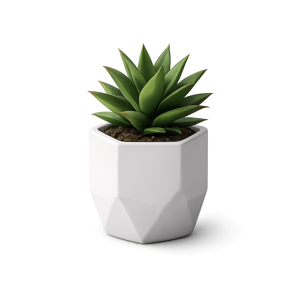 Decorative plant beside FBS Signs branded print materials